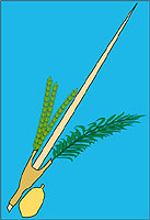 �������� ������ ����!