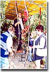 Sukkah