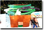 The Best Sukkah contest